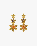 Brincos Coral 177